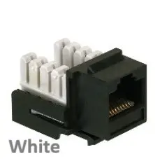 45-5569